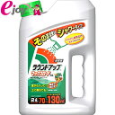 ラウンドアップ マックスロードAL 2L【日産化学工業】（除草剤 除草 液剤 雑草 駐車場 家周り 庭 ガーデニング 園芸 スギナ） DIY