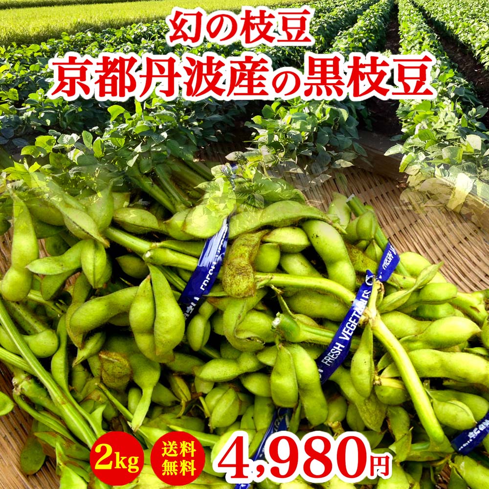 【令和6年度産★】丹波黒枝豆 黒枝豆 枝豆 えだまめ 黒豆 丹波 黒豆 京都 京丹波 京都丹波産黒枝豆 丹波黒大豆の枝豆 黒枝豆 枝豆 枝付き 大粒 丹波 黒豆 枝豆 丹波黒 黒大豆 濃厚 美味しい 旬 ご当地 送料無料 北海道 沖縄 離島 は別途送料が発生しますのサムネイル