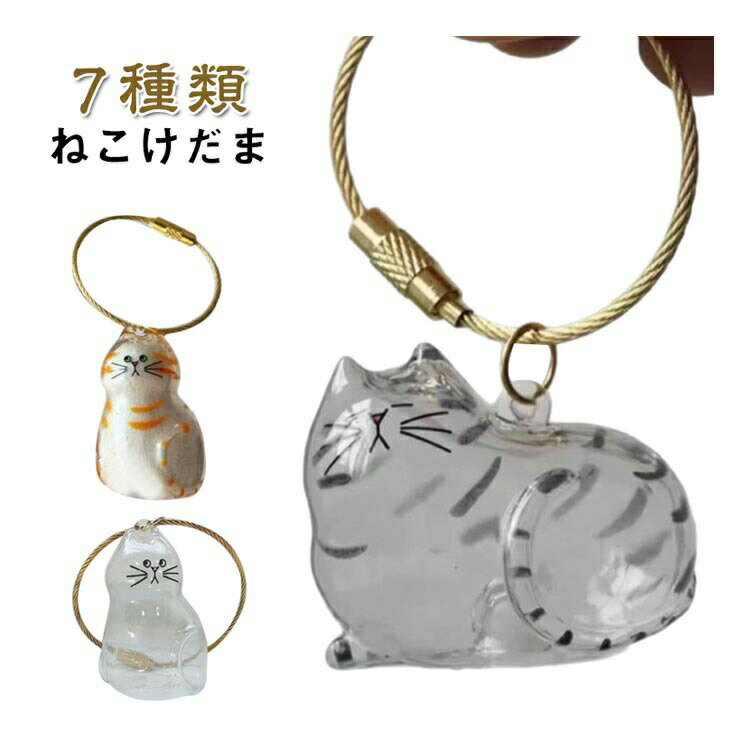 ねこけだま 猫毛収納ボックス 猫の毛収納キーホルダー ケース 透明ケース 毛玉容器 メモリアルペットグッズ 猫 7種類 毛玉入れ 遺毛 ねこけだま 遺毛入れ 猫の毛キーホルダー 透明 ペットケア用品 ペット安全素材