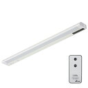 オーム電機 LEDイーブライトスリム多目的灯リモコンタイプ昼光色 LT-NLES10D-HR