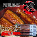 鹿児島県大隅産 うなぎ蒲焼(冷凍) 約140g×4尾 国産 鹿児島産 鹿児島県産 うなぎ 鰻 ウナギ 蒲焼 ギフト 贈り物 土用 丑の日