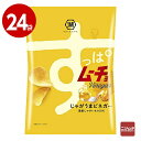 湖池屋 すっぱムーチョチップス じゃがうまビネガー 55g×24袋 お菓子 ポテトチップ