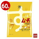湖池屋 すっぱムーチョチップス じゃがうまビネガー 55g×60袋 お菓子 ポテトチップス【送料無料】
