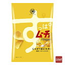 湖池屋 すっぱムーチョチップス じゃがうまビネガー 55g お菓子 ポテトチップス