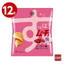 湖池屋 すっぱムーチョチップス さっぱり梅 55g×12袋 お菓子 ポテトチップス