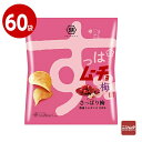 湖池屋 すっぱムーチョチップス さっぱり梅 55g×60袋 お菓子 ポテトチップス【送料無料】