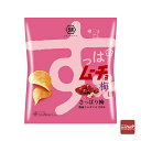 湖池屋 すっぱムーチョチップス さっぱり梅 55g お菓子 ポテトチップス