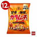 湖池屋 甘辛無限カラムーチョ ヤンニョムだれチキン 53g×12袋 お菓子 ポテトチップス