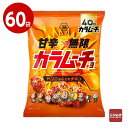 湖池屋 甘辛無限カラムーチョ ヤンニョムだれチキン 53g×60袋 お菓子 ポテトチップス【送料無料】