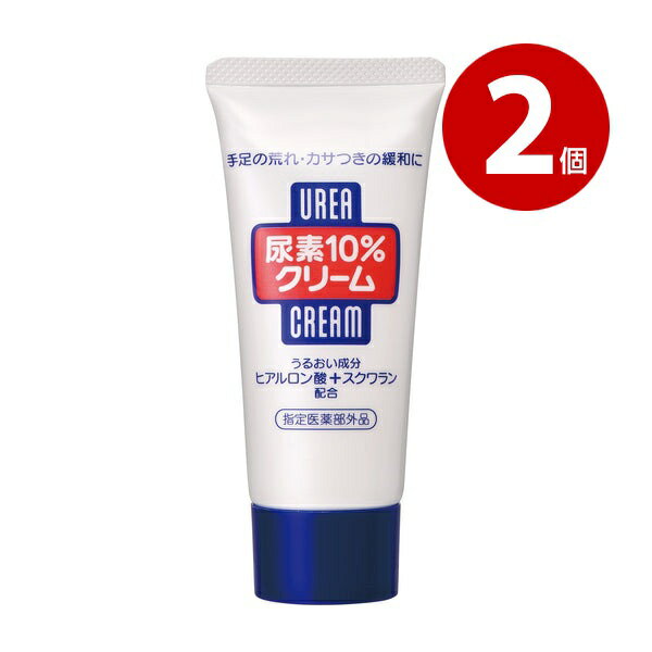 2ĥåȡաڻʡۥեȥǥǢ10󥯥꡼f塼֡60g