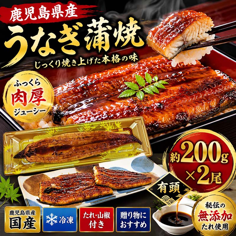 「良質な原料」「じっくり丁寧な焼き」そして「秘伝のオリジナルたれ」。この3つの要素のうちどれかひとつでも欠けると、創業以来こだわり続けている「安全・安心で美味しいうなぎ蒲焼」は成立しません。各製造工程に厳しいチェック体制を敷き、この「三位一体」を常に高水準で維持できるように管理しています。 1、良質な原料 ・うなぎは鹿児島県内の指定養鰻場にてシラス台地でろ過された綺麗な地下水で育てられた鹿児島県産の鰻のみを使用しております。 ・水質管理や栄養バランスに細心の注意を払い、鰻が健康的に成長する環境を整えています。 ・飼料は独自に開発し、鰻の成長を促進させる栄養素を豊富に含んだもので、厳格な品質管理と衛生管理を徹底しています。 2、じっくり丁寧な焼き 大新では特に白焼にこだわっており、一般的な白焼ラインよりもレーンを長くし高温でじっくり丁寧に焼くことにより、余分な脂を落とし鰻本来の旨味を引き出します。 更に、 業界最大級の長さを誇る約90m蒸しラインにより個体差の無いふっくら柔らかくたれの染み込みやすい身質の白焼が出来上がります。 3、たれのこだわり 厳選した原料のみを用いて独自の製法で仕込んだ本醸造濃い口醤油と、原料米は国内産100%の本みりん使用しております。 醤油は、鮮やかな色あいと穏やかな香りに加えて、本醸造醤油特有の塩味、深い旨味、 まろやかな酸味、味を引き締める苦味を持ち合わせております。 また本みりんは、業界最古250余年の歴史のある醸造元が、つくり上げた逸品です。 良質な国内産のもち米、手間ひまかけて作った米こうじ、香り豊かな厳選された焼酎を使用し、上品な香りと甘み・コクが特徴です。 お客様がこの鰻蒲焼をお召し上がりになった時、得も言われぬ味のハーモニーを醸し出します。 ●うなぎの蒲焼 【内容量】約200kg×2尾 【原材料名】ニホンウナギ（鹿児島県産）、たれ（しょうゆ（小麦・大豆を含む））、みりん、糖類（水あめ、砂糖、果糖ぶどう糖液糖）、酵母エキス、でん粉、寒天 【栄養成分（100gあたり）】エネルギー 310kcal、炭水化物 7.4g、たんぱく質 18.8g、脂質 22.8g、食塩相当 1.1g ※表示値は目安です。 【賞味期限】商品に記載 ※冷凍賞味期限です。 【保存方法】冷凍庫（-10℃以下）にて保存 【製造国】日本 ●蒲焼のたれ 【内容量】たれ15ml、山椒0.1g 【原材料名】たれ〔しょうゆ(国内製造)、みりん、砂糖、だし原料(うなぎの骨)、(一部に小麦・大豆を含む)〕、山椒〔山椒) 【栄養成分表示(たれ1袋15ml当たり)】 熱量32kcal、たんぱく質0.6g、脂質0g、 炭水化物7.3g、食塩相当量1.1g(推定値) 【賞味期限】枠外下部に記載 【販売者】 　株式会社大新 　鹿児島県指宿市西方2788-1 【製造者】 　株式会社カザミフーズ 　足利工場栃木県足利市助戸1-26 ※商品の改訂等により、パッケージデザイン・内容等は予告なく変更される場合がございます。 ※商品は自社店舗販売と在庫を共有しているため、在庫更新のタイミングにより、在庫切れの場合やむをえずキャンセルさせていただく可能性があります。鹿児島県産うなぎへのこだわり 「良質な原料」「じっくり丁寧な焼き」そして「秘伝のオリジナルたれ」。 この3つの要素のうちどれかひとつでも欠けると、創業以来こだわり続けている「安全・安心で美味しいうなぎ蒲焼」は成立しません。 各製造工程に厳しいチェック体制を敷き、この「三位一体」を常に高水準で維持できるよう管理しています。 1. 良質な原料 鹿児島県内の指定養鰻場で育てられた鹿児島県産うなぎのみを使用。 シラス台地でろ過された良質な地下水で育成し、水質管理や栄養バランスにも細心の注意を払っています。 独自開発の飼料と徹底した品質管理により、健康で良質なうなぎを育てています。 2. じっくり丁寧な焼き 一般的な白焼ラインより長いレーンを採用し、高温でじっくり焼き上げることで余分な脂を落とし、うなぎ本来の旨味を引き出します。 さらに業界最大級となる約90mの蒸しラインにより、ふっくら柔らかく、たれがしっかり染み込む理想的な白焼へ仕上げています。 3. 秘伝のオリジナルたれ 独自製法で仕込んだ本醸造濃口醤油と、国内産米100％の本みりんを使用。 醤油の深い旨味と香り、本みりんの上品な甘みとコクが絶妙に調和し、うなぎ蒲焼の美味しさを引き立てます。 口にした瞬間に広がる豊かな味わいをお楽しみください。 調理方法 関連商品 約200g×2尾 約200g×4尾 約200g×6尾 商品詳細 うなぎの蒲焼 内容量約200g×2尾 原材料名ニホンウナギ（鹿児島県産）、たれ（しょうゆ（小麦・大豆を含む））、みりん、糖類（水あめ、砂糖、果糖ぶどう糖液糖）、酵母エキス、でん粉、寒天 栄養成分エネルギー310kcal、炭水化物7.4g、たんぱく質18.8g、脂質22.8g、食塩相当量1.1g（100gあたり） 賞味期限商品に記載（冷凍賞味期限） 保存方法冷凍庫（-10℃以下）にて保存 製造国日本 蒲焼のたれ 内容量たれ15ml、山椒0.1g 原材料名たれ〔しょうゆ(国内製造)、みりん、砂糖、だし原料(うなぎの骨)、(一部に小麦・大豆を含む)〕、山椒〔山椒〕 栄養成分熱量32kcal、たんぱく質0.6g、脂質0g、炭水化物7.3g、食塩相当量1.1g（15mlあたり） 賞味期限枠外下部に記載 販売者株式会社大新　鹿児島県指宿市西方2788-1 製造者株式会社カザミフーズ 足利工場　栃木県足利市助戸1-26 ※商品の改訂等により、パッケージデザイン・内容等は予告なく変更される場合があります。 ※商品は自社店舗販売と在庫を共有しているため、在庫更新のタイミングにより在庫切れとなる場合があります。