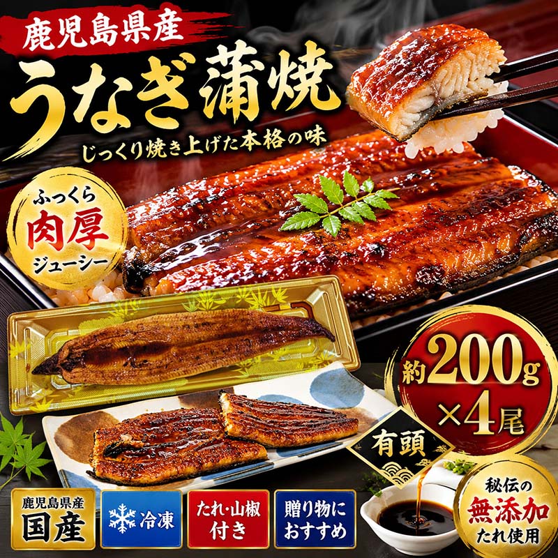 「良質な原料」「じっくり丁寧な焼き」そして「秘伝のオリジナルたれ」。この3つの要素のうちどれかひとつでも欠けると、創業以来こだわり続けている「安全・安心で美味しいうなぎ蒲焼」は成立しません。各製造工程に厳しいチェック体制を敷き、この「三位一体」を常に高水準で維持できるように管理しています。 1、良質な原料 ・うなぎは鹿児島県内の指定養鰻場にてシラス台地でろ過された綺麗な地下水で育てられた鹿児島県産の鰻のみを使用しております。 ・水質管理や栄養バランスに細心の注意を払い、鰻が健康的に成長する環境を整えています。 ・飼料は独自に開発し、鰻の成長を促進させる栄養素を豊富に含んだもので、厳格な品質管理と衛生管理を徹底しています。 2、じっくり丁寧な焼き 大新では特に白焼にこだわっており、一般的な白焼ラインよりもレーンを長くし高温でじっくり丁寧に焼くことにより、余分な脂を落とし鰻本来の旨味を引き出します。 更に、 業界最大級の長さを誇る約90m蒸しラインにより個体差の無いふっくら柔らかくたれの染み込みやすい身質の白焼が出来上がります。 3、たれのこだわり 厳選した原料のみを用いて独自の製法で仕込んだ本醸造濃い口醤油と、原料米は国内産100%の本みりん使用しております。 醤油は、鮮やかな色あいと穏やかな香りに加えて、本醸造醤油特有の塩味、深い旨味、 まろやかな酸味、味を引き締める苦味を持ち合わせております。 また本みりんは、業界最古250余年の歴史のある醸造元が、つくり上げた逸品です。 良質な国内産のもち米、手間ひまかけて作った米こうじ、香り豊かな厳選された焼酎を使用し、上品な香りと甘み・コクが特徴です。 お客様がこの鰻蒲焼をお召し上がりになった時、得も言われぬ味のハーモニーを醸し出します。 ●うなぎの蒲焼 【内容量】約200kg×4尾 【原材料名】ニホンウナギ（鹿児島県産）、たれ（しょうゆ（小麦・大豆を含む））、みりん、糖類（水あめ、砂糖、果糖ぶどう糖液糖）、酵母エキス、でん粉、寒天 【栄養成分（100gあたり）】エネルギー 310kcal、炭水化物 7.4g、たんぱく質 18.8g、脂質 22.8g、食塩相当 1.1g ※表示値は目安です。 【賞味期限】商品に記載 ※冷凍賞味期限です。 【保存方法】冷凍庫（-10℃以下）にて保存 【製造国】日本 ●蒲焼のたれ 【内容量(1袋)】たれ15ml、山椒0.1g 【原材料名】たれ〔しょうゆ(国内製造)、みりん、砂糖、だし原料(うなぎの骨)、(一部に小麦・大豆を含む)〕、山椒〔山椒) 【栄養成分表示(たれ1袋15ml当たり)】 熱量32kcal、たんぱく質0.6g、脂質0g、 炭水化物7.3g、食塩相当量1.1g(推定値) 【賞味期限】枠外下部に記載 【販売者】 　株式会社大新 　鹿児島県指宿市西方2788-1 【製造者】 　株式会社カザミフーズ 　足利工場栃木県足利市助戸1-26 ※商品の改訂等により、パッケージデザイン・内容等は予告なく変更される場合がございます。 ※商品は自社店舗販売と在庫を共有しているため、在庫更新のタイミングにより、在庫切れの場合やむをえずキャンセルさせていただく可能性があります。鹿児島県産うなぎへのこだわり 「良質な原料」「じっくり丁寧な焼き」そして「秘伝のオリジナルたれ」。 この3つの要素のうちどれかひとつでも欠けると、創業以来こだわり続けている「安全・安心で美味しいうなぎ蒲焼」は成立しません。 各製造工程に厳しいチェック体制を敷き、この「三位一体」を常に高水準で維持できるよう管理しています。 1. 良質な原料 鹿児島県内の指定養鰻場で育てられた鹿児島県産うなぎのみを使用。 シラス台地でろ過された良質な地下水で育成し、水質管理や栄養バランスにも細心の注意を払っています。 独自開発の飼料と徹底した品質管理により、健康で良質なうなぎを育てています。 2. じっくり丁寧な焼き 一般的な白焼ラインより長いレーンを採用し、高温でじっくり焼き上げることで余分な脂を落とし、うなぎ本来の旨味を引き出します。 さらに業界最大級となる約90mの蒸しラインにより、ふっくら柔らかく、たれがしっかり染み込む理想的な白焼へ仕上げています。 3. 秘伝のオリジナルたれ 独自製法で仕込んだ本醸造濃口醤油と、国内産米100％の本みりんを使用。 醤油の深い旨味と香り、本みりんの上品な甘みとコクが絶妙に調和し、うなぎ蒲焼の美味しさを引き立てます。 口にした瞬間に広がる豊かな味わいをお楽しみください。 調理方法 関連商品 約200g×2尾 約200g×4尾 約200g×6尾 商品詳細 うなぎの蒲焼 内容量約200g×4尾 原材料名ニホンウナギ（鹿児島県産）、たれ（しょうゆ（小麦・大豆を含む））、みりん、糖類（水あめ、砂糖、果糖ぶどう糖液糖）、酵母エキス、でん粉、寒天 栄養成分エネルギー310kcal、炭水化物7.4g、たんぱく質18.8g、脂質22.8g、食塩相当量1.1g（100gあたり） 賞味期限商品に記載（冷凍賞味期限） 保存方法冷凍庫（-10℃以下）にて保存 製造国日本 蒲焼のたれ 内容量たれ15ml、山椒0.1g 原材料名たれ〔しょうゆ(国内製造)、みりん、砂糖、だし原料(うなぎの骨)、(一部に小麦・大豆を含む)〕、山椒〔山椒〕 栄養成分熱量32kcal、たんぱく質0.6g、脂質0g、炭水化物7.3g、食塩相当量1.1g（15mlあたり） 賞味期限枠外下部に記載 販売者株式会社大新　鹿児島県指宿市西方2788-1 製造者株式会社カザミフーズ 足利工場　栃木県足利市助戸1-26 ※商品の改訂等により、パッケージデザイン・内容等は予告なく変更される場合があります。 ※商品は自社店舗販売と在庫を共有しているため、在庫更新のタイミングにより在庫切れとなる場合があります。