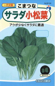 ウタネ　野菜の種　サラダ小松菜