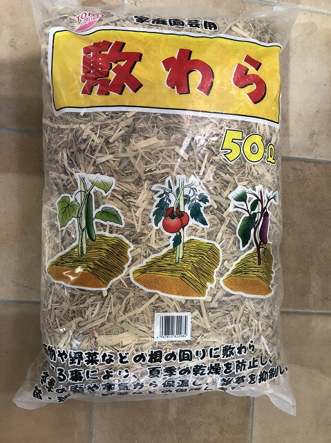植物や野菜などの根の回りに敷きわらをすることにより、夏季の乾燥を防止し、冬季の霜や寒気から保温し、雑草を抑制します 材質：わら ※商品の改訂等により、パッケージデザイン・内容等は予告なく変更される場合がございます。 ※商品は自社店舗販売と在庫を共有しているため、在庫更新のタイミングにより、在庫切れの場合やむをえずキャンセルさせていただく可能性があります。植物や野菜などの根の回りに敷きわらをすることにより、夏季の乾燥を防止し、冬季の霜や寒気から保温し、雑草を抑制します 材質：わら ※商品の改訂等により、パッケージデザイン・内容等は予告なく変更される場合がございます。 ※商品は自社店舗販売と在庫を共有しているため、在庫更新のタイミングにより、在庫切れの場合やむをえずキャンセルさせていただく可能性があります。