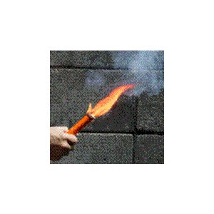 ��ݲ���������ե�䡼ACE����ư���Ѷ۵��ݰ±�����ȯ��������