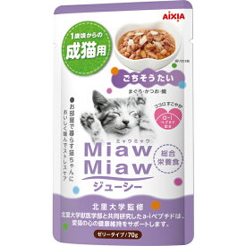 アイシア MiawMiaw(ミャウミャウ)ジューシー ごちそうたい 70g