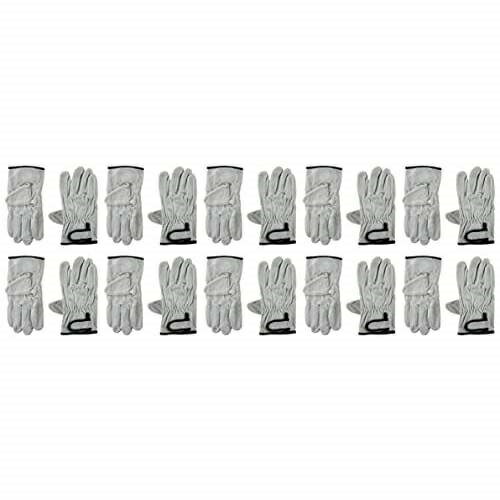 コーコス信岡 QC-1210 牛床皮マジック付き10P L