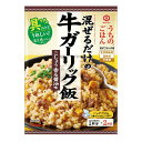 キッコーマン うちのごはん 混ぜごはんの素 牛ガーリック飯 74g