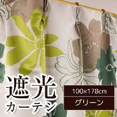 南国 遮光カーテン 目隠し 2枚組 100×178cm グリーン 花柄 洗える ソラン 九装