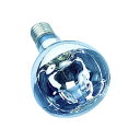 ハタヤ リフレクターランプ300W RC、RE、RG型用 RS-300WH