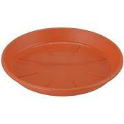 アップルウェアー　浅皿AP6号