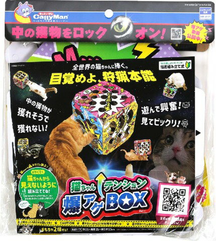 猫ちゃんテンション爆アゲBOX