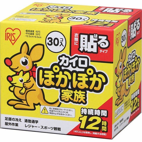 カイロ　ぽかぽか家族貼レギュラー30P