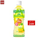 送料無料 同梱・代引不可 コカ・コーラ アクエリアス 1日分のマルチビタミン PET 500ml《1ケース販売24本入》