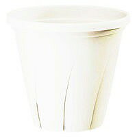 ¥ץ饹å Ϥȭ ۥ磻 6