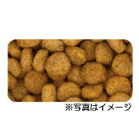 サンプル画像2