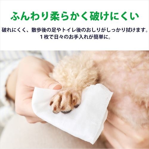 �����ꥹ������ޡ��ڥå��ѥ����åȥƥ��å��塡80������1P DPWT-1P
