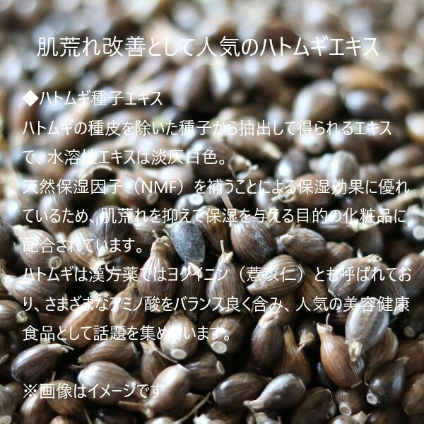 プラチナレーベル ハトムギエキス配合 ミストウォーター 300g スプレータイプ簡単コスメ きれい コスメ 化粧品 肌荒れ ハトムギ しっとり モチモチ 細かなミスト スプレー リフレッシュ 潤い スキンケア