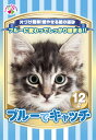 サノテック loveにゃん ブルーでキャッチ 12L(4)