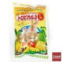 スドー フルーツ王国 トロピカル3 Lパック