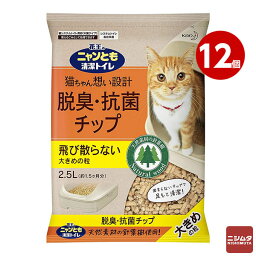 まとめ買い 花王 ニャンとも清潔トイレ 脱臭・抗菌チップ 大きめの粒 2．5L×12