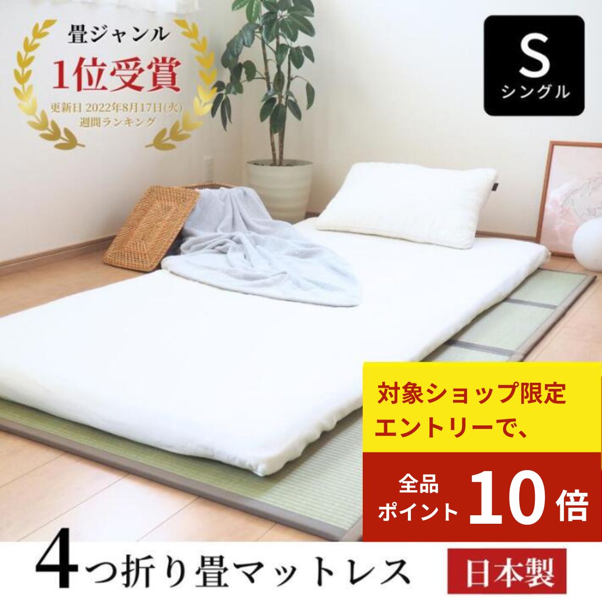 【BLACK FRIDAY★エントリーでP10倍】国