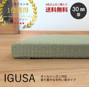 国産 畳 マット 置き畳 琉球畳 い草 85x85cmx厚み30mm (単品) 防音 床冷え防止 半畳 縁なし 業務用 日本製 調湿 3畳 4畳半 6畳 サイズオーダー【 置き畳 畳 ユニット畳 30mm フローリング 敷くだけ マット い草ラグ 】