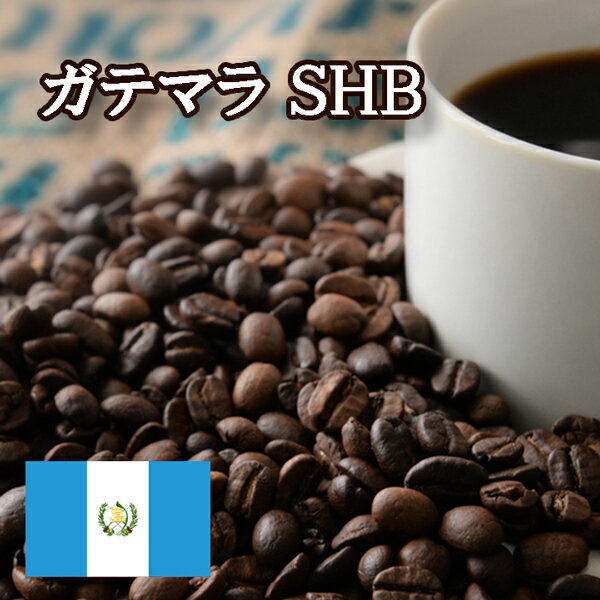 ガテマラ SHB 焙煎 コーヒー豆 100g ニシナ屋 珈琲 焙煎 高級 コーヒー豆 プレゼント コーヒー 豆 父の日 贈答 お中元 お盆 誕生日 祝 敬老 お礼 ご祝儀 チョコやケーキに合う