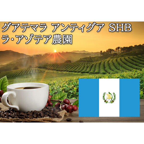 ƥޥ饢ƥSHB顦ƥ