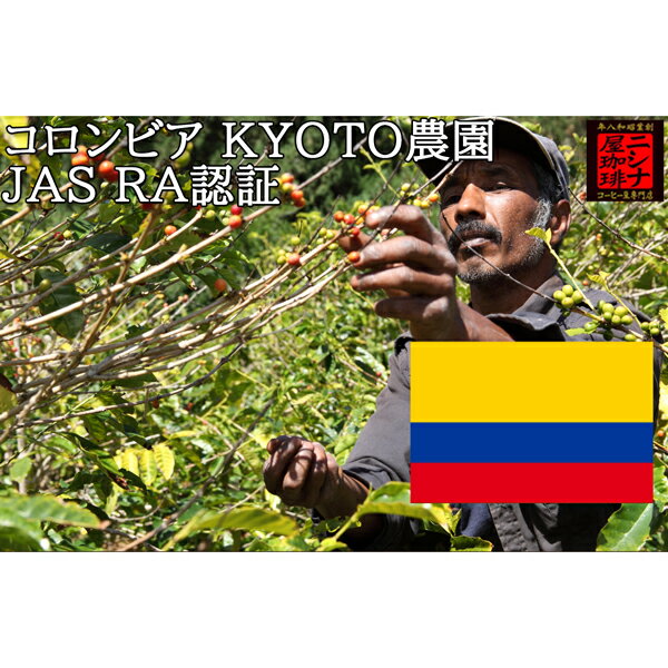 【特価 1kg】コロンビア KYOTO農園 1kg 有機JA