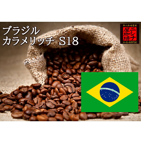 【10%OFF】ブラジル カラメリッチ S18 100g ニシナ屋 珈琲 焙煎 高級 コーヒー豆 プレゼント コーヒー 豆 父の日 贈答 お中元 お盆 誕生日 祝 敬老 お礼 ご祝儀 チョコやケーキに合う