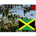 ブルーマウンテン No.1 100% (100g) ニシナ屋 珈琲 焙煎 高級 コーヒー豆 プレゼント コーヒー 豆 父の日 贈答 お中元 お盆 誕生日 祝 敬...