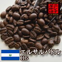 エルサルバドル HG 焙煎 コーヒー豆 1kg ニシナ屋珈琲 焙煎 コーヒー コーヒー豆 お得 高級 プレゼント コーヒー 業務用 お徳用 お歳暮 正月 クリスマス チョコやケーキに合う バレンタイン ホワイトデー