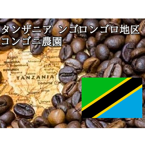 タンザニア ンゴロンゴロ地区 コンゴニ農園 100g ニシナ屋 珈琲 焙煎 高級 コーヒー豆 プレゼント コーヒー 豆 父の日 贈答 お中元 お盆 誕生日 祝 敬老 お礼 ご祝儀 チョコやケーキに合う