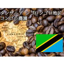 タンザニア ンゴロンゴロ地区 コンゴニ農園 200g ニシナ屋珈琲 焙煎 コーヒー スペシャルティ コーヒー豆 高級 プレゼント コーヒー お歳暮 正月 クリスマス チョコやケーキに合う バレンタイン ホワイトデー