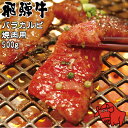 養老ミート 飛騨牛 バラカルビ 焼肉用 500g 冷凍 化粧箱入り ギフト 贈答用 全国送料無料 黒毛和牛 取り寄せ 牛肉 高級肉 和牛 サシ 霜降り肉 岐阜県 お歳暮