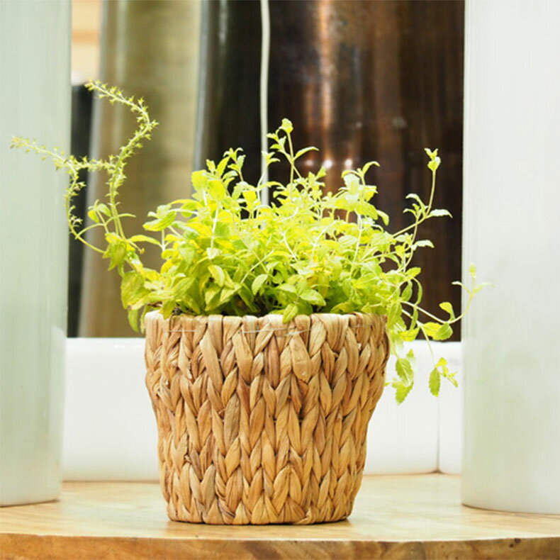 鉢カバー バスケット プランターカバー 鉢 花用 花かご 花器 花 観葉植物 インテリア おしゃれ DIY 園..