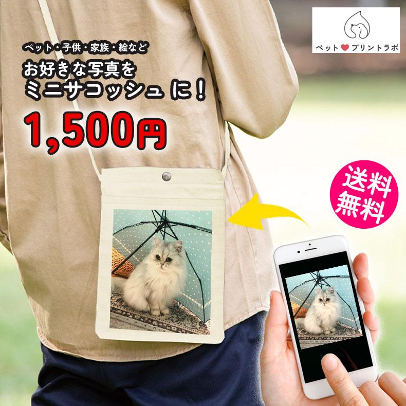 ڥåȥץȥ ᥤ Хå Х å Хå  ڥå  ǭ ² ɤ   ץ쥼 ppl-tr-1082-008 ڥåȥץȥ