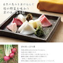 ■ポイント5倍■ 【京つけもの西利 公式】京のあっさり漬 10点詰合せ NRYF-50 送料無料京都 老舗 西利 漬物 ギフト プレゼント ご挨拶 千枚漬け ご挨拶 百貨店 人気 出産 お祝い 内祝い お返し 詰め合わせ 2