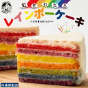 送料無料 レインボーケーキ 5号 誕生日ケーキ バースデーケーキ アメリカ発 カラフル スイーツ ケ